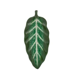 Antipastiera foglia ficus terracotta Florafruit