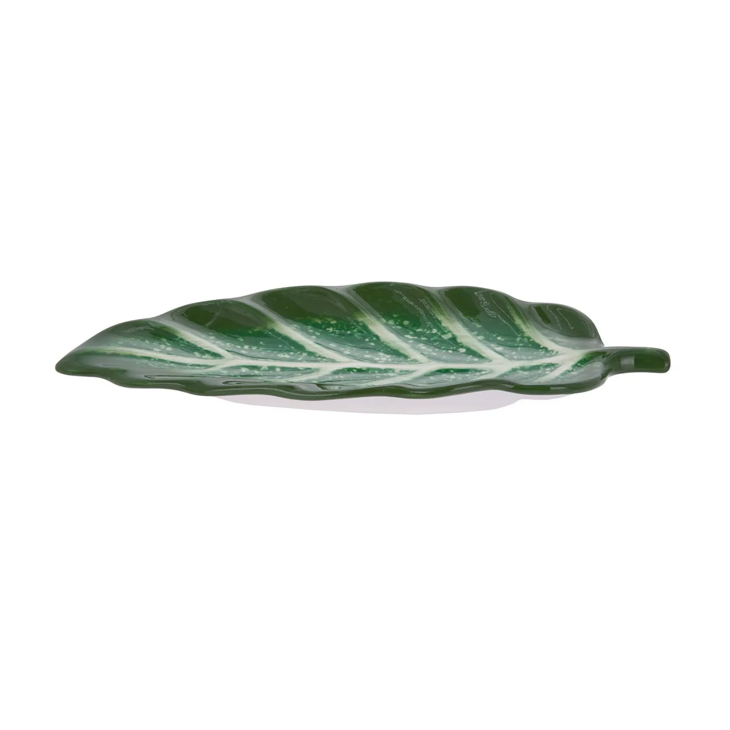 Antipastiera foglia ficus terracotta Florafruit