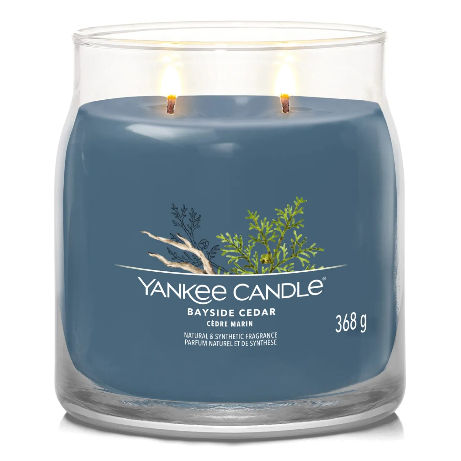 Bayside Cedar, candela in giara media Yankee Candle