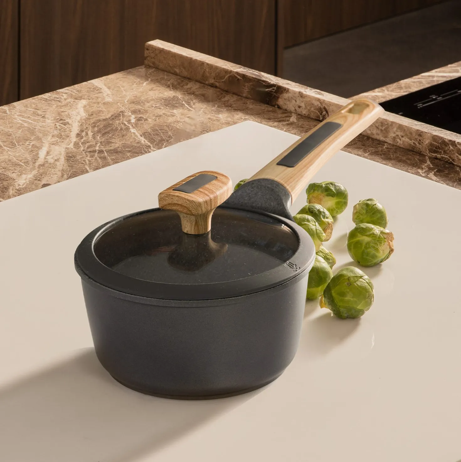 Casseruola 16 cm con coperchio Evolution