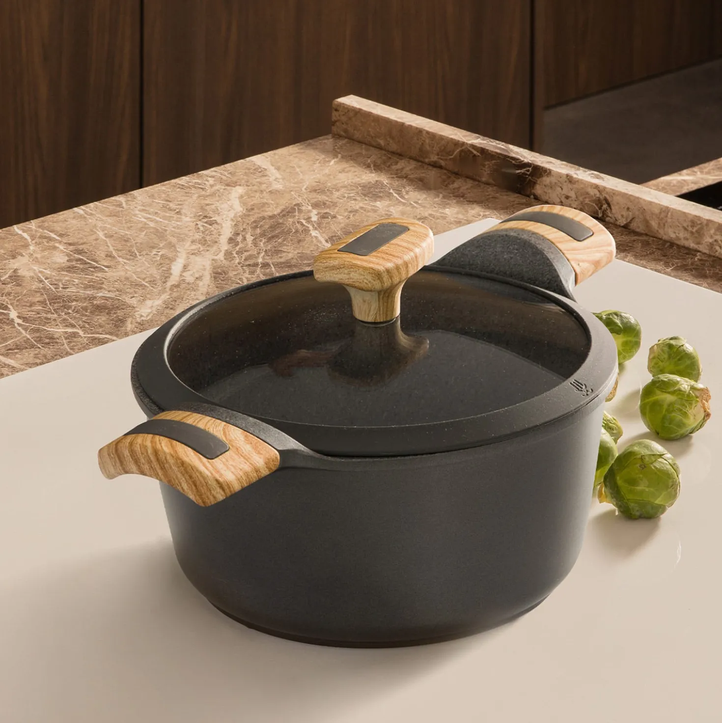 Casseruola 24 cm con coperchio Evolution