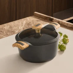 Casseruola 20 cm con coperchio Evolution