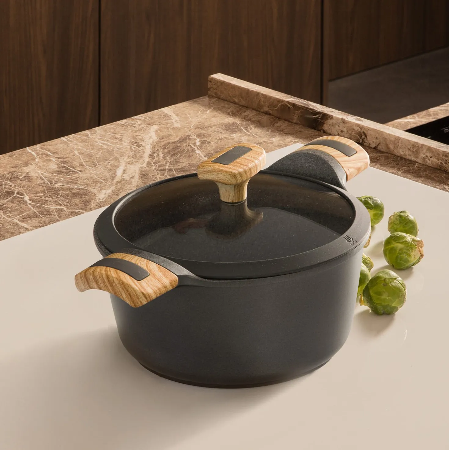 Casseruola 20 cm con coperchio Evolution