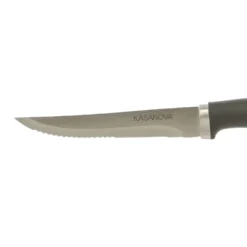 Coltelli per carne in acciaio inox e plastica, 6 pezzi