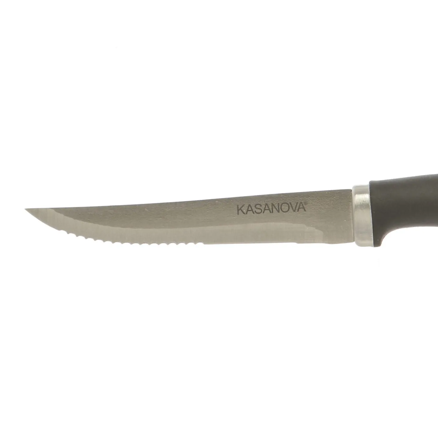 Coltelli per carne in acciaio inox e plastica, 6 pezzi