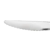 Coltello da frutta in acciaio inox