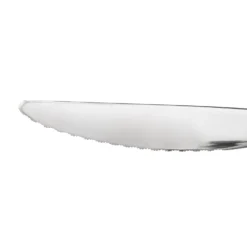 Coltello da frutta in acciaio inox