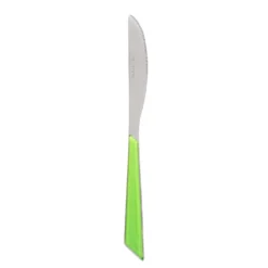 Coltello in acciaio inox