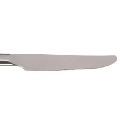 Coltello Shiny in acciaio inox