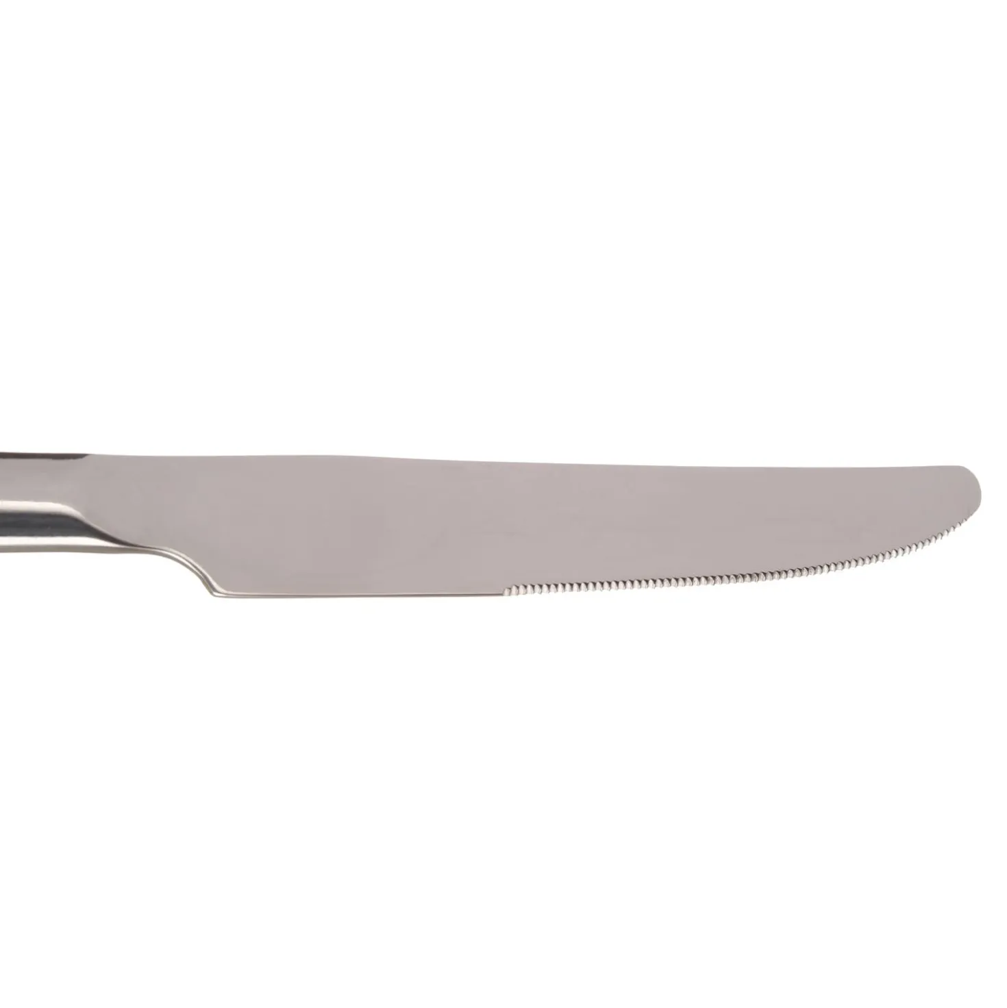 Coltello Shiny in acciaio inox