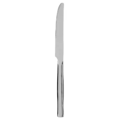 Coltello Shiny in acciaio inox