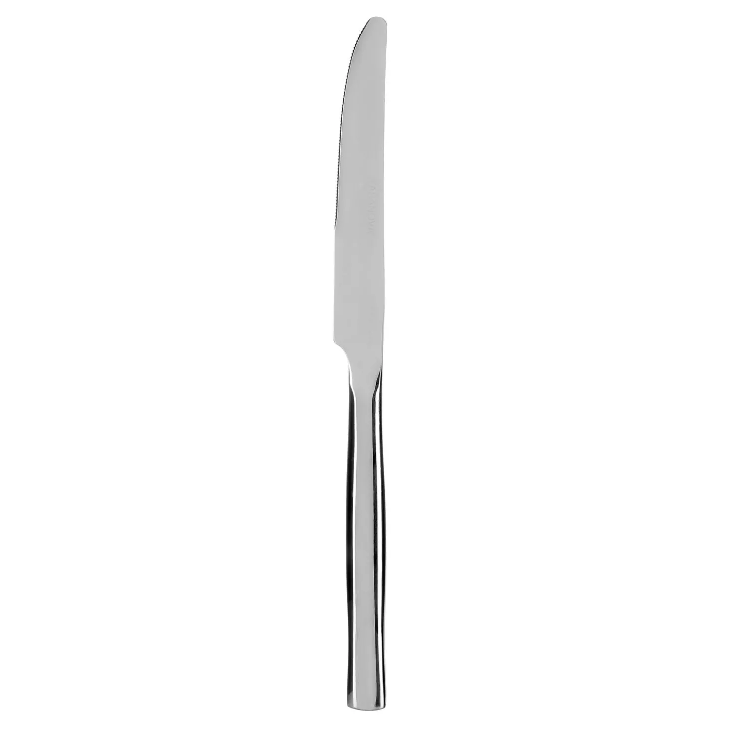 Coltello Shiny in acciaio inox