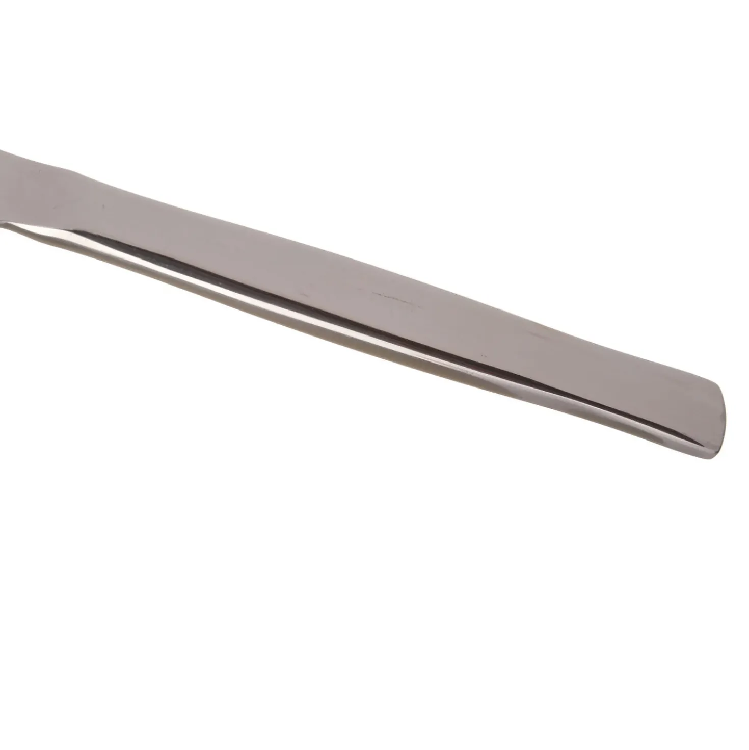 Coltello Shiny in acciaio inox