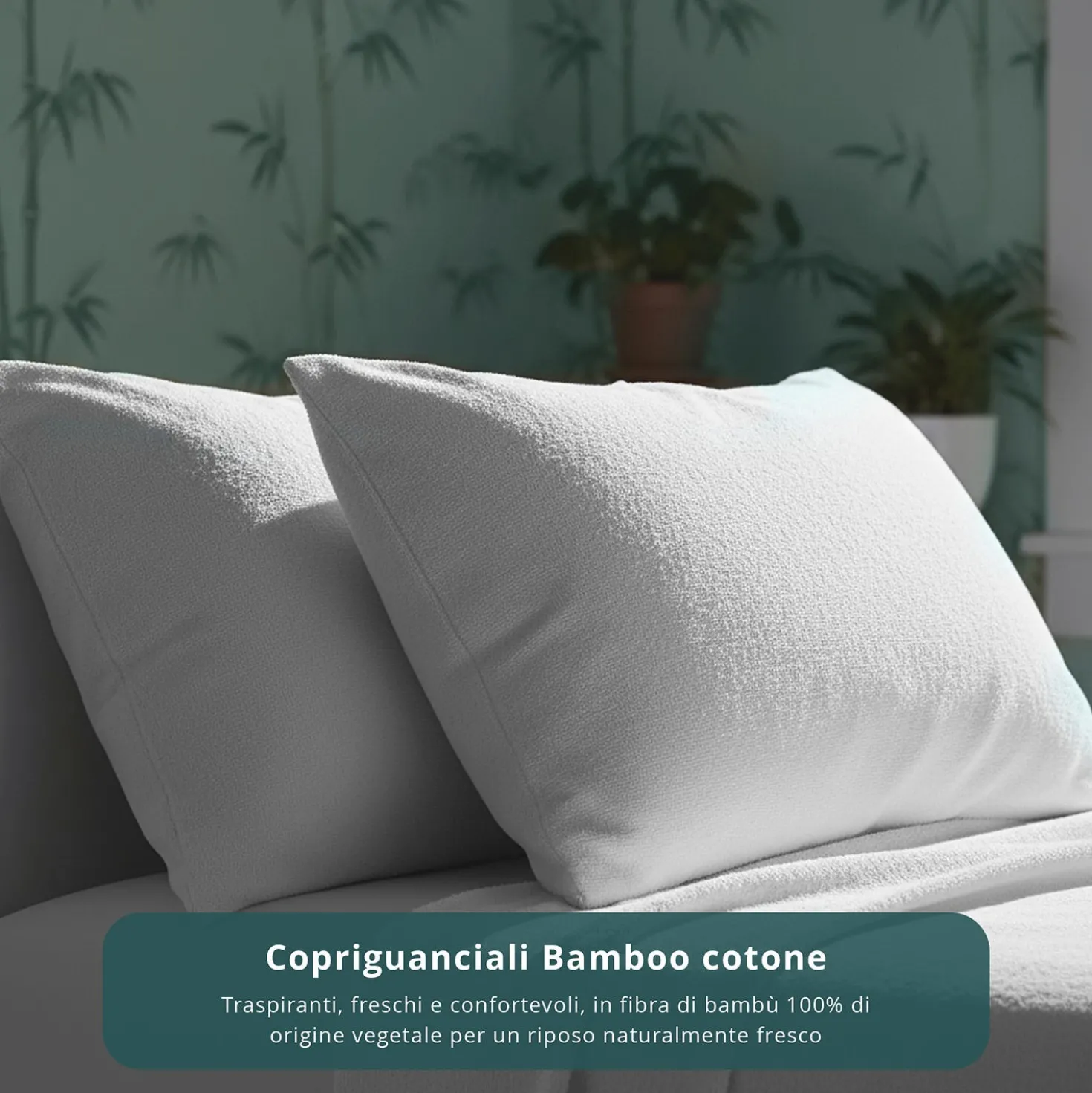 Coppia federe copriguanciali Bamboo