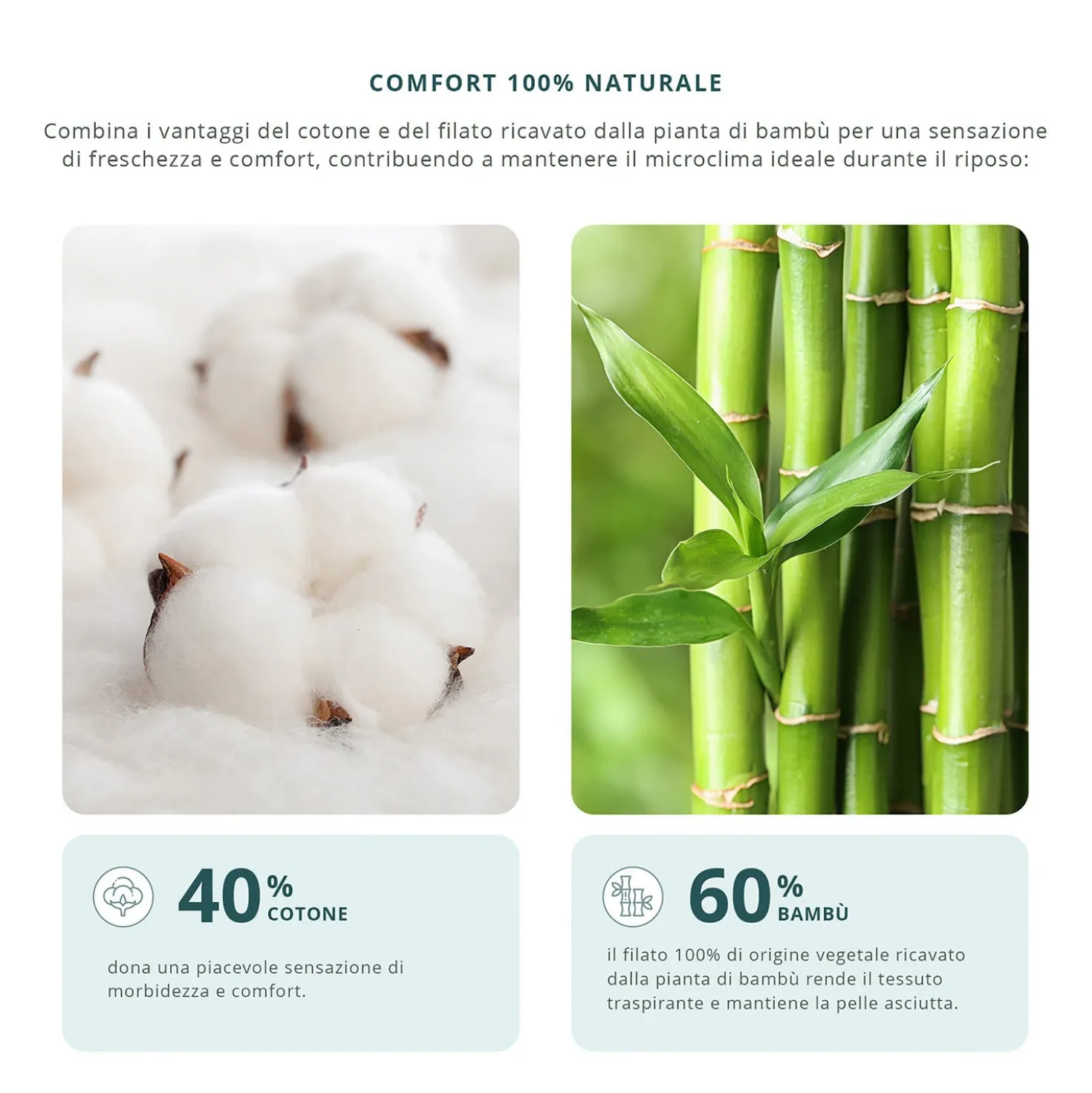 Coppia federe copriguanciali Bamboo