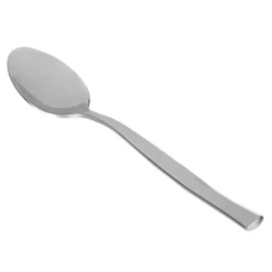 Cucchiaio Shiny in acciaio inox