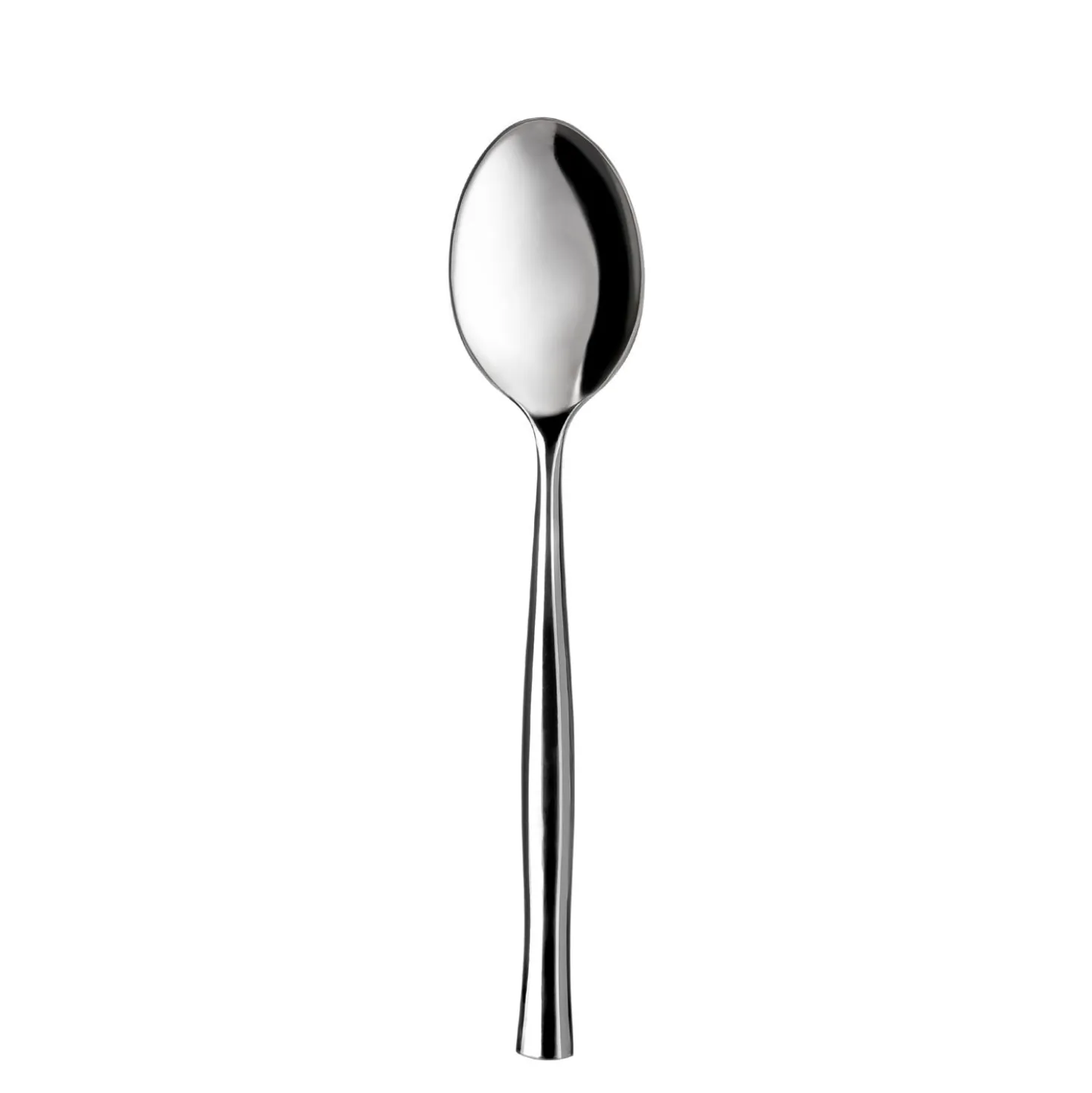 Cucchiaio Shiny in acciaio inox