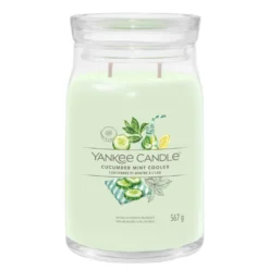 Cucumber Mint Cooler, candela in giara grande Yankee Candle