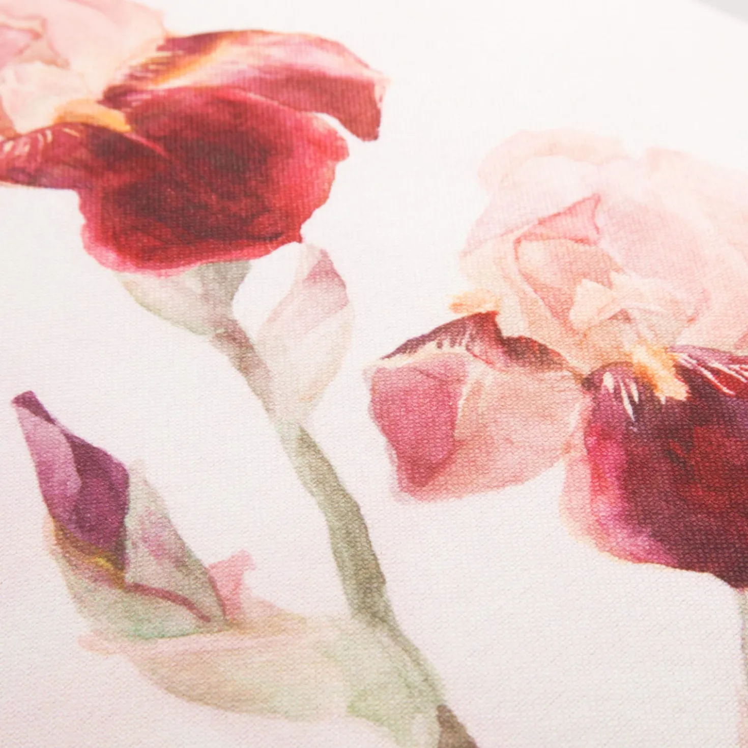 Cuscino divano 45x45 cm fiore iris