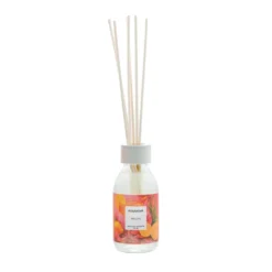 Diffusore ambiente Bellini 100 ml cocktail