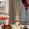 Diffusore ambiente Martini 100 ml cocktail