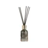 Diffusore ambiente 100 ml Lezione di danza
