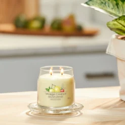 Iced Berry Lemonade, candela in giara media Yankee Candle