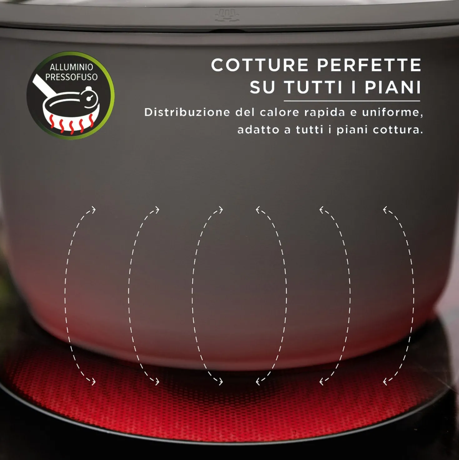 Pentola 22 cm con coperchio Evolution
