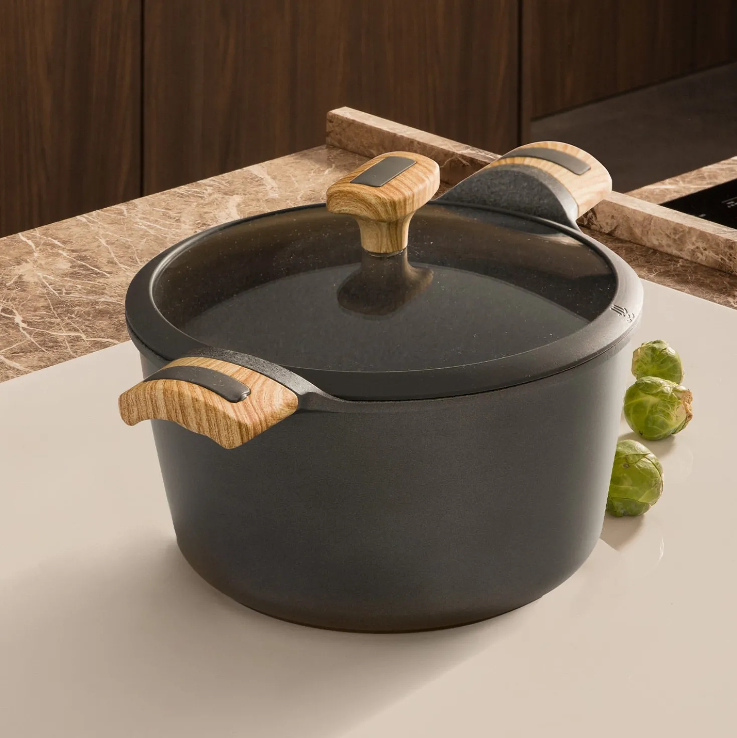 Pentola 22 cm con coperchio Evolution