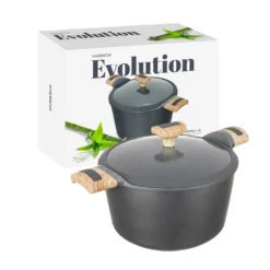 Pentola 22 cm con coperchio Evolution