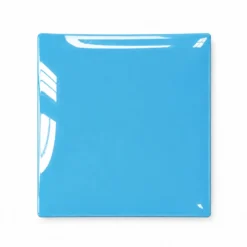 Piattino decorativo vetro 20x20 cm Pesce azzurro