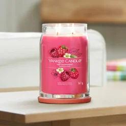 Red Raspberry, candela in giara grande Yankee Candle