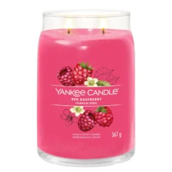 Red Raspberry, candela in giara grande Yankee Candle