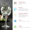 Set 2 calici Gin Tonic RCR Cristalleria Italiana