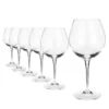 Set 6 calici Pinot nero Io Vino in vetro cristallo