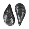 Set 2 piatti da portata 27x14 cm