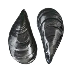 Set 2 piatti da portata 27x14 cm