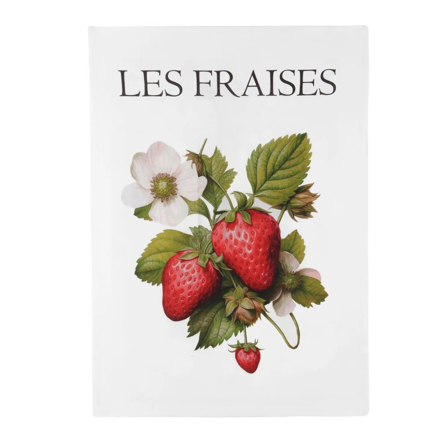 Strofinaccio Fragole 50x70 cm in cotone con scritta