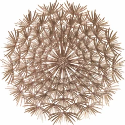 Tovaglietta 38 cm pvc soffione oro Villa D'Este